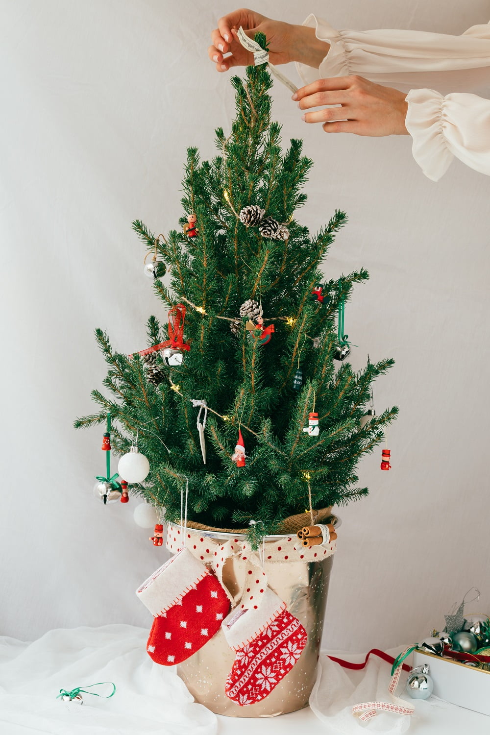 Real or Fake? What Christmas tree is most sustainable? | Spud.ca