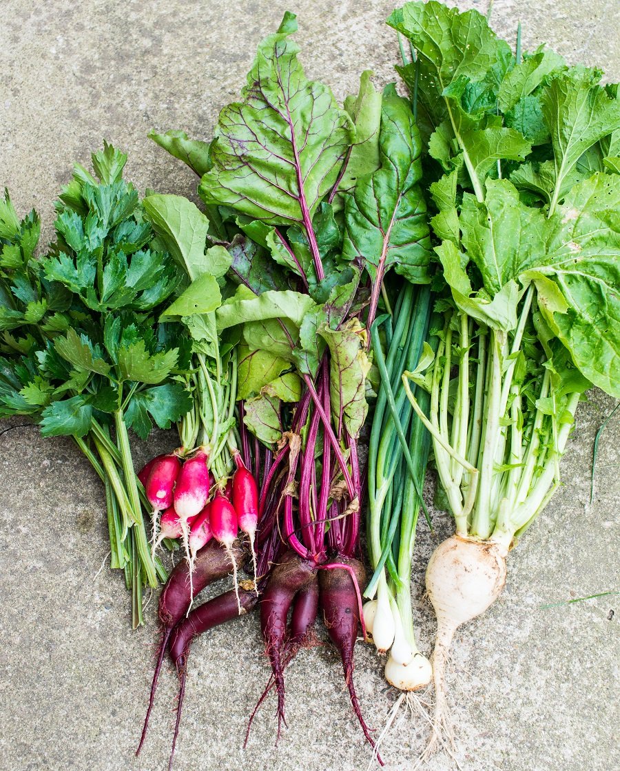 6 Vegetable Tops you Should Stop Throwing out and Start Eating! #zerowaste 