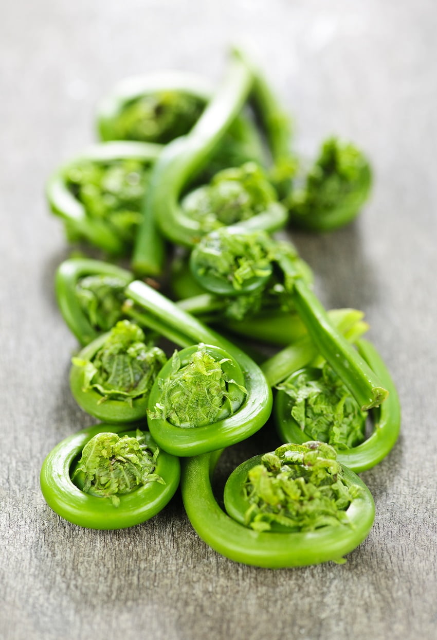 How to cook fiddlehead ferns