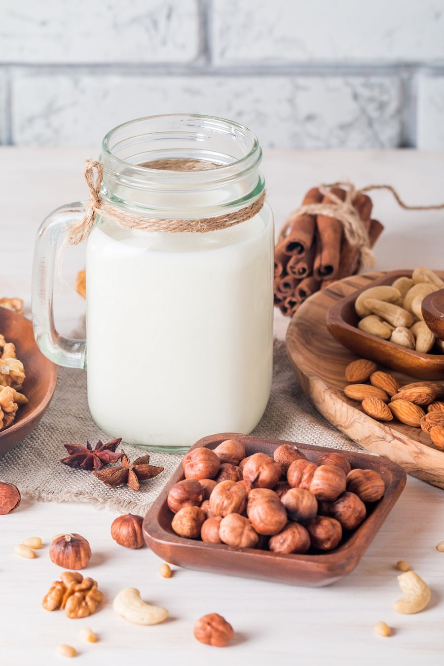 9 Homemade Dairy-Free Vegan Milk Recipes #plantmilk
