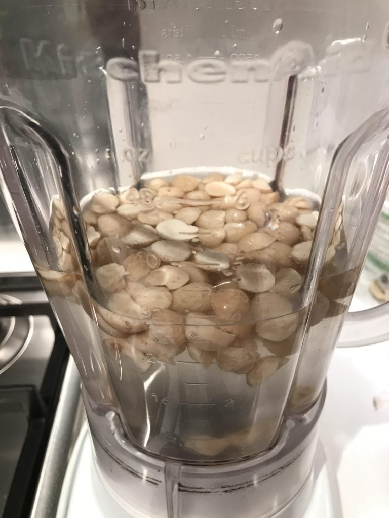 macadamia nut milk