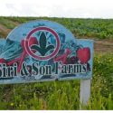 Siri & Son Farms