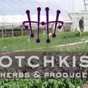 Hotchkiss Herbs and Produce