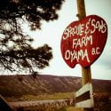 Sproule & Sons Farm