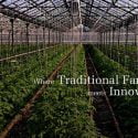 Origin Organic Farms