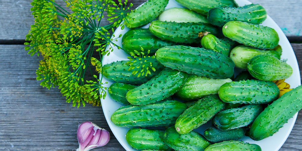 Tips For Pickling