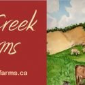 Meadow Creek Farms