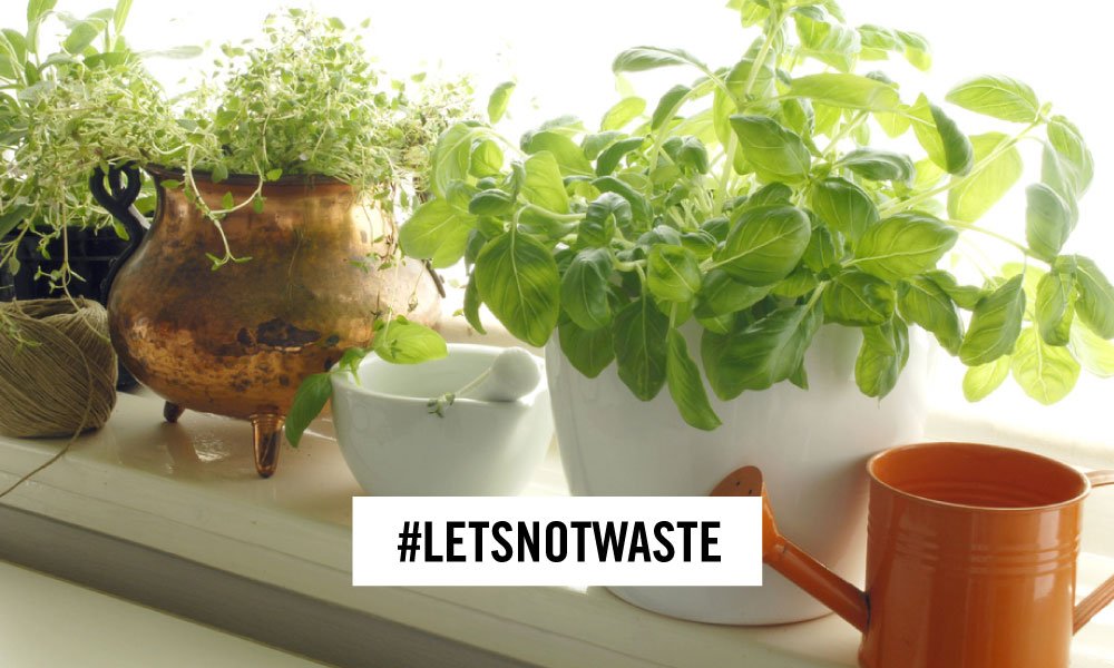 12 Ways To Reduce Your Carbon Footprint.