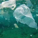 Canadians waste enough plastic bags to circle the earth 55 times. Annually!