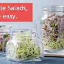 Make Your Salads Interesting! Vegan Salad Ideas.          