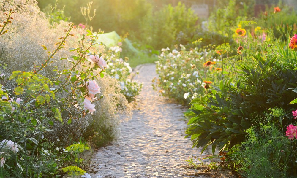 SOIL APPRECIATION: TIPS FOR PLANTING PERENNIALS IN FALL