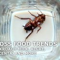 5 GROSS FOOD TRENDS: COCKROACH MILK, ALGAE, INSECT COCKTAILS, AND MORE