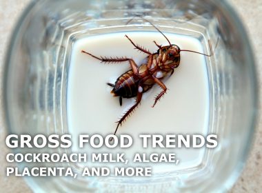 gross food trends cockroach milk