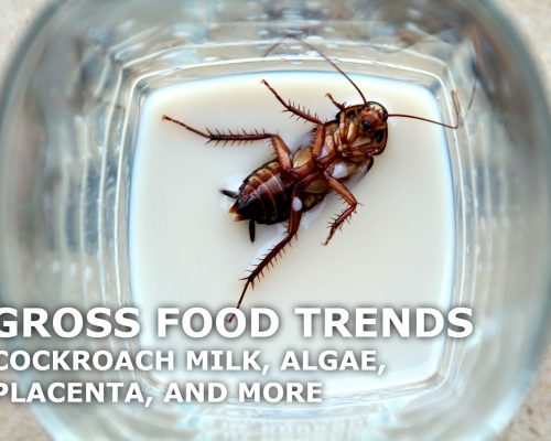 Gross Food Trends Cockroach Milk