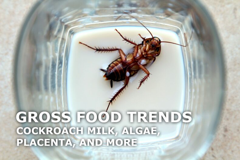 gross food trends cockroach milk