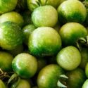 HAVE TOO MANY GREEN TOMATOES ON YOUR HANDS?