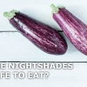WHAT ARE NIGHTSHADES? ARE THEY SAFE TO EAT?