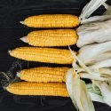 THE BEST WAY TO COOK CORN: BEER-BATTERED CORN-ON-THE-COB