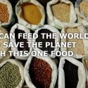 WE CAN FEED THE WORLD AND SAVE THE PLANET WITH THIS ONE FOOD