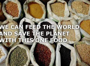 pulses can feed the world