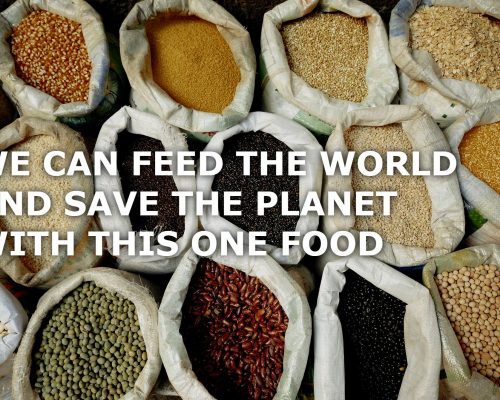 Pulses Can Feed The World
