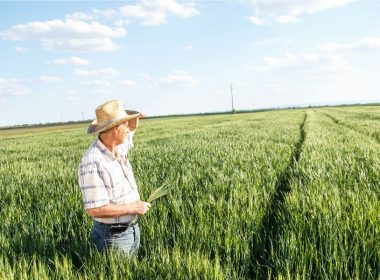 Meet Your Farmers
