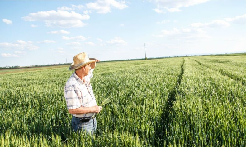 Meet Your Farmers