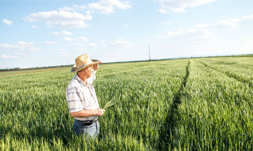 CALGARY – YOU’RE INVITED TO MEET YOUR FARMERS