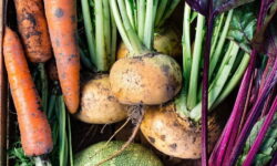 Root Vegetable Recipes