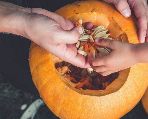 What To Do With Your Halloween Pumpkin