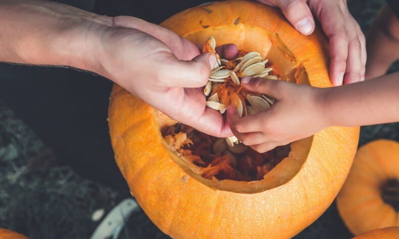 What to do with your Halloween pumpkin