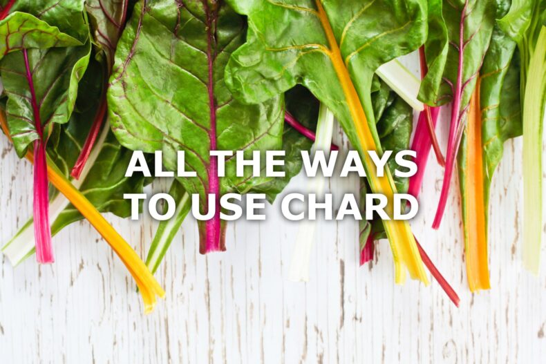 rainbow chard