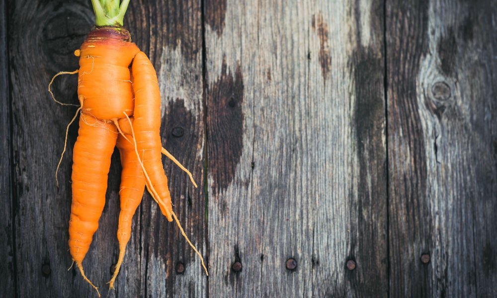 HOW OUR RESIDENT VEGAN USES IMPERFECT PRODUCE