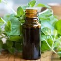 CAN OIL OF OREGANO REALLY HELP YOU WHEN YOU’RE SICK?