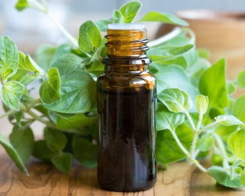 Does Oil Of Oregano Help When You're Sick?