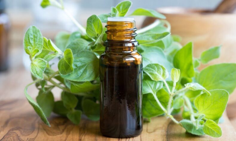 Does oil of oregano help when you're sick?