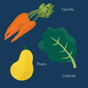 Winter Seasonal Produce Guide Canada