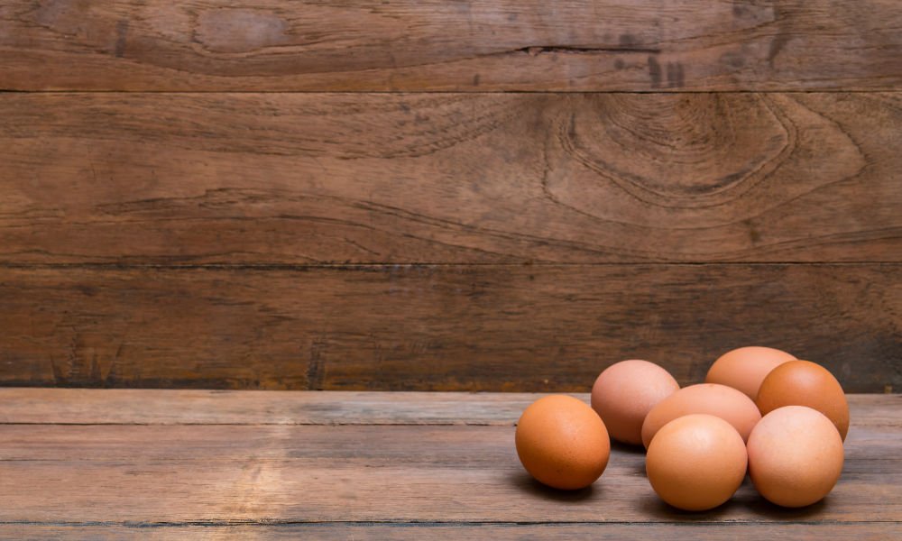 MINDS BLOWN: EGGLESS OMELETTE RECIPE FROM OUR RESIDENT VEGAN