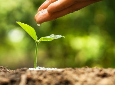healing our planet