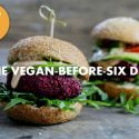 COULD VEGAN-BEFORE-SIX BE THE DIET FOR YOU?