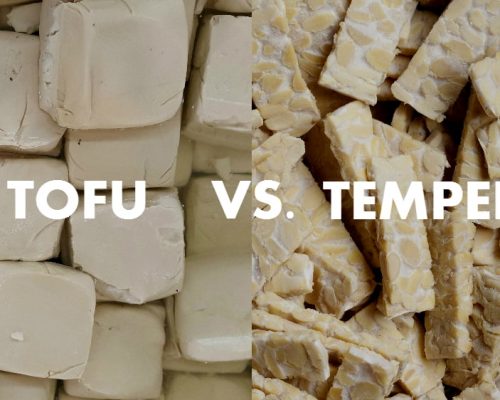 TOFU VS. TEMPEH