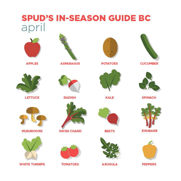 WE'VE GOT YOUR WHAT'S INSEASON PRODUCE GUIDE FOR APRIL SPUD.ca