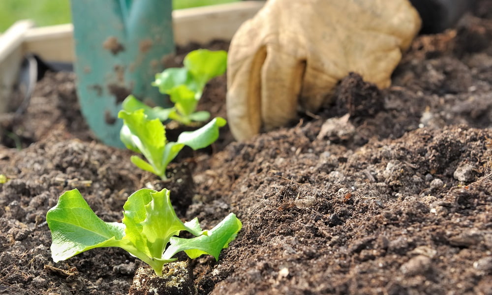 FIGHT FOOD WASTE WITH THIS GUIDE TO BACKYARD COMPOSTING