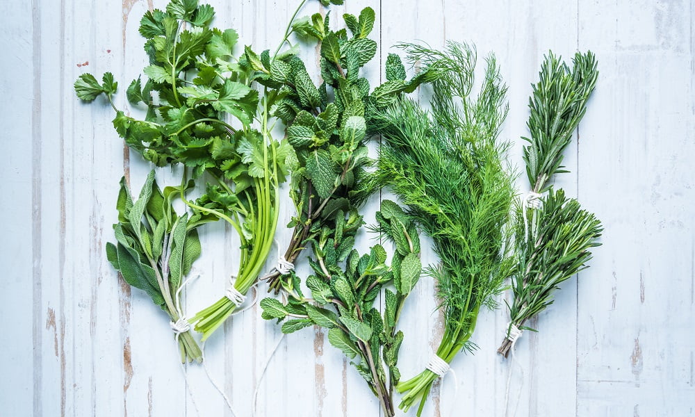 5 DELICIOUS WAYS TO USE UP YOUR LEFTOVER HERBS
