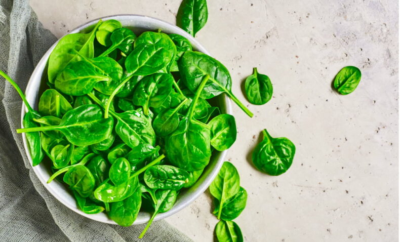 spinach recipes