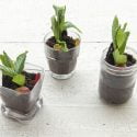 LOOKING FOR AN EDIBLE EARTH DAY CRAFT? MAKE THESE DIRT ‘N WORMS POTS