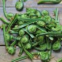 WHAT ARE FIDDLEHEADS AND HOW TO COOK THEM