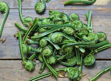 fiddleheads