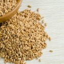 Farro Vs. Wheat Berries