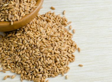 farro vs wheat berries